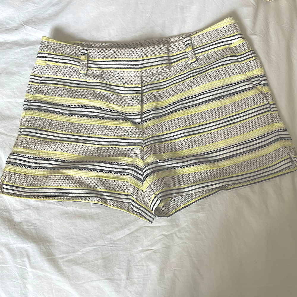 Ann Taylor Loft shorts (never worn!!)